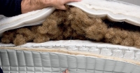 Treca IAS Prestige Pocket spring mattress