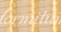 Schramm Mythos 71-S Pocket spring mattress