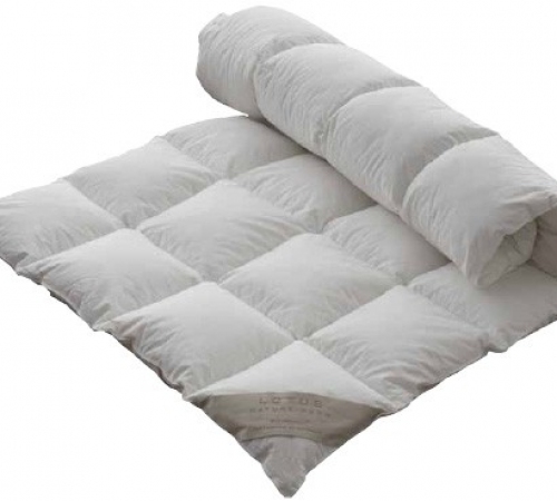 Schramm Nature Down Light 05 Topper