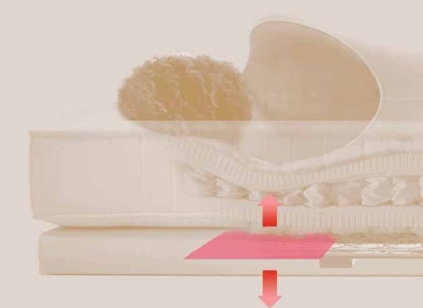 Schramm UM-220 Master M2-SCA Electric adjustable bed base