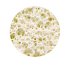 Latex Talalay